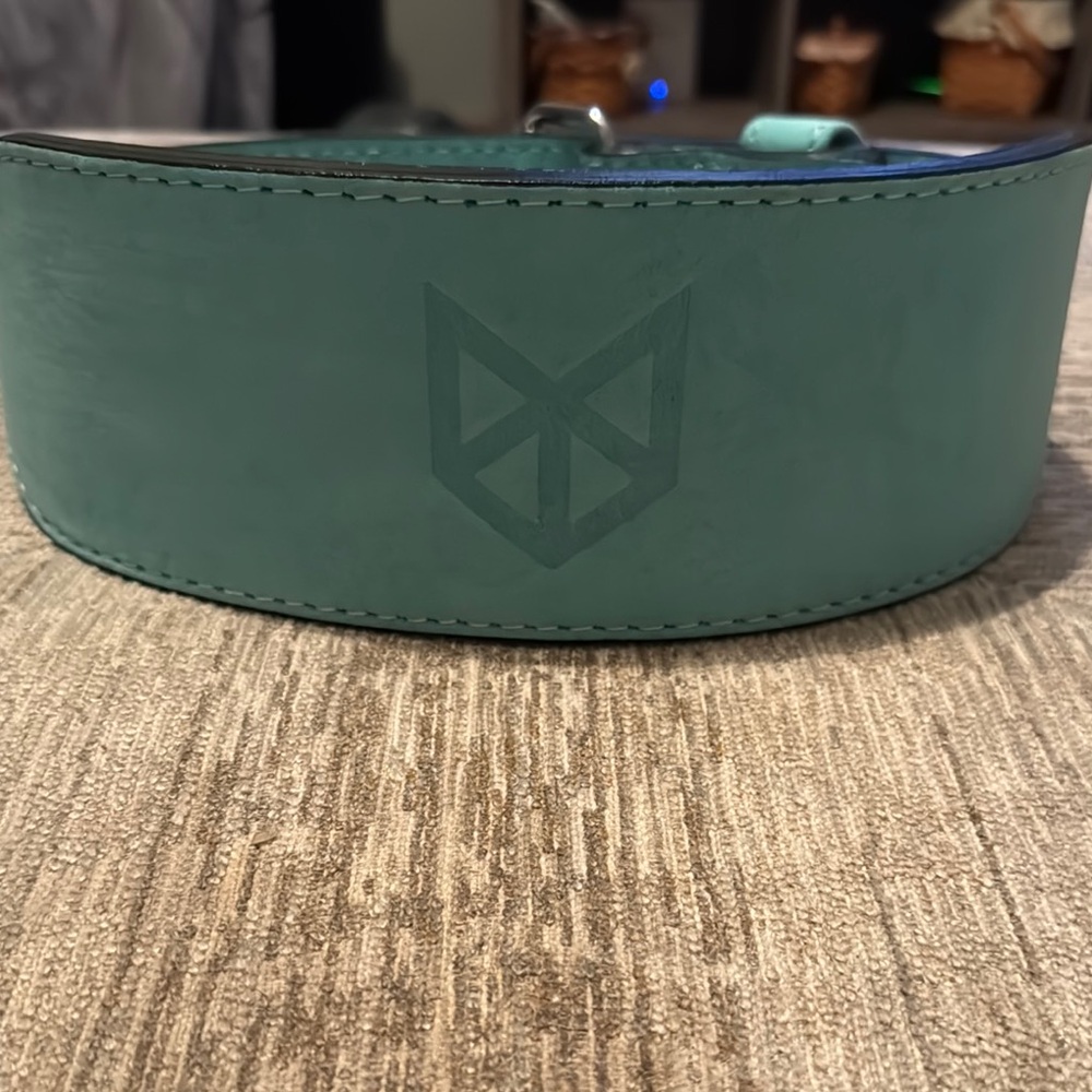 Men's Raw Gear Weight Belt